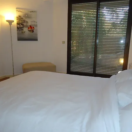Apartment Near Larvotto Beach